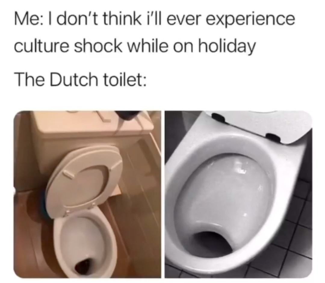 Me: I don't think i'll ever experience culture shock while on holiday. The Dutch toilet: