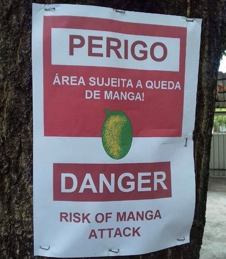 PERIGO ÁREA SUJEITA A QUEDA DE MANGA! DANGER RISK OF MANGA ATTACK