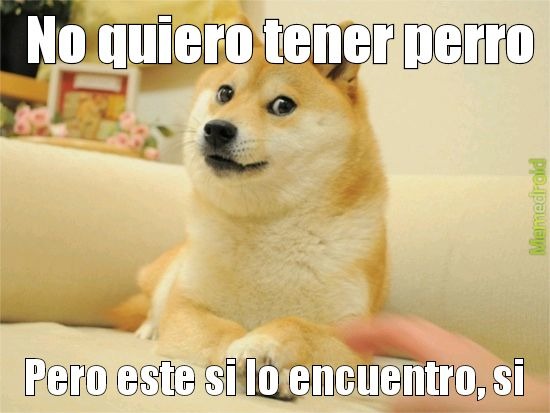 No quiero tener perro Pero este si lo encuentro, si