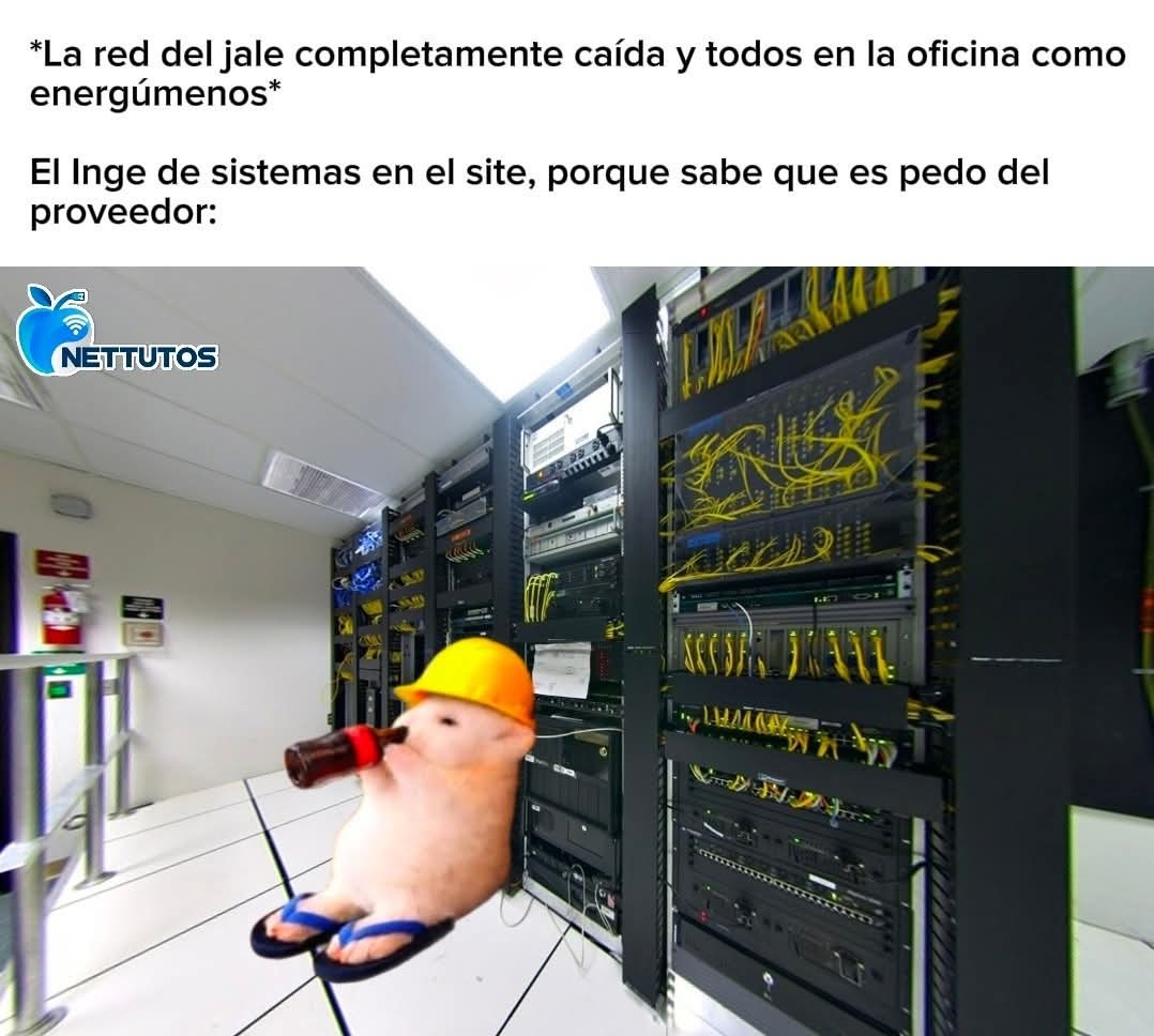 La red del jale completamente caída y todos en la oficina como energúmenos. El Inge de sistemas en el site, porque sabe que es pedo del proveedor.