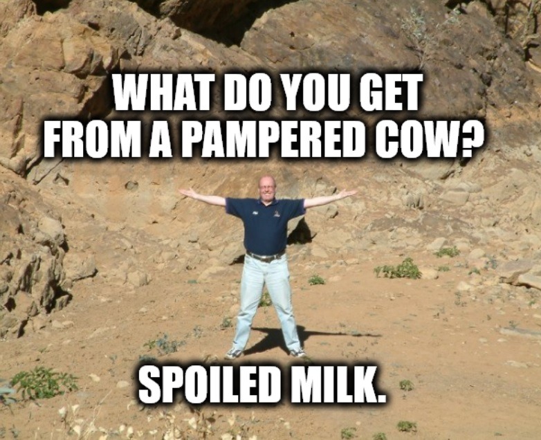 WHAT DO YOU GET FROM A PAMPERED COW? SPOILED MILK.