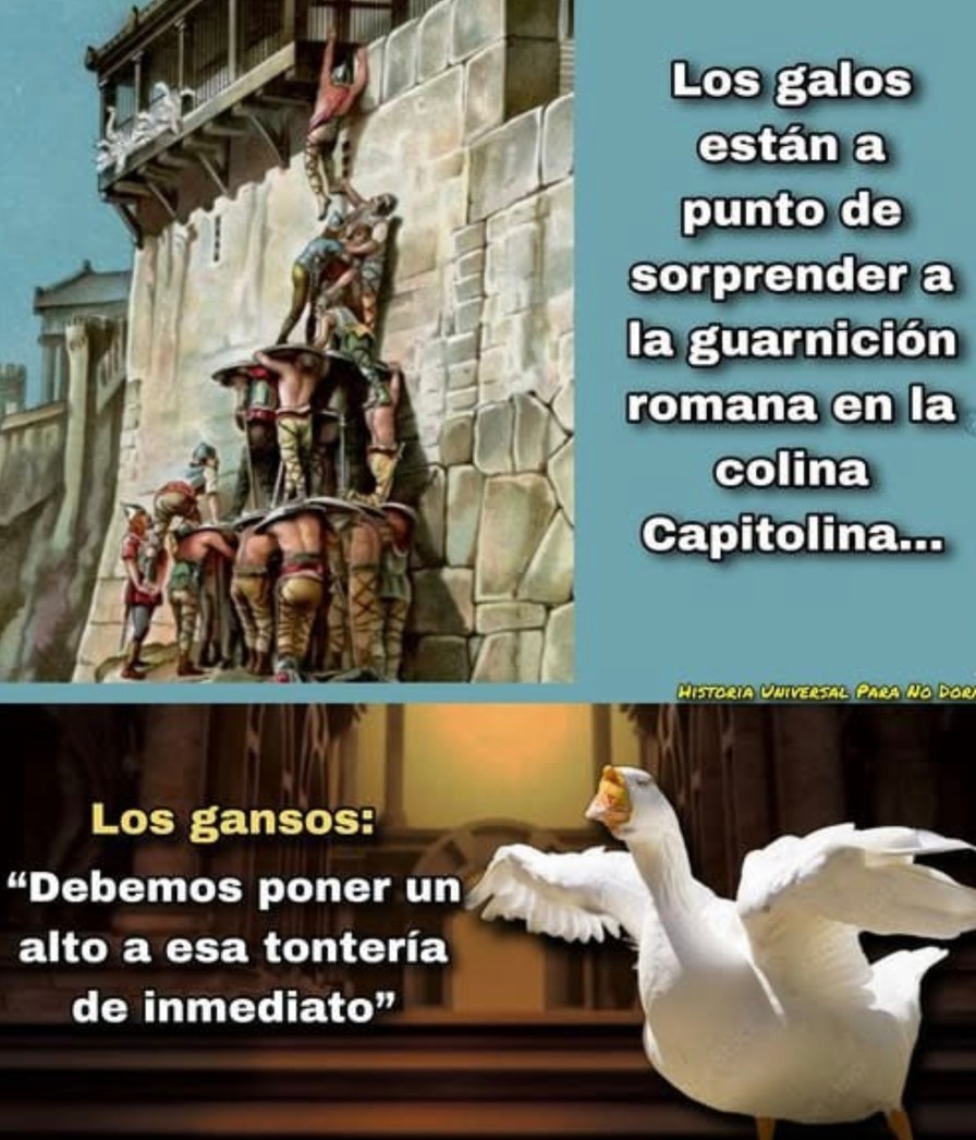 Los galos están a punto de sorprender a la guarnición romana en la colina Capitolina... Los gansos: 