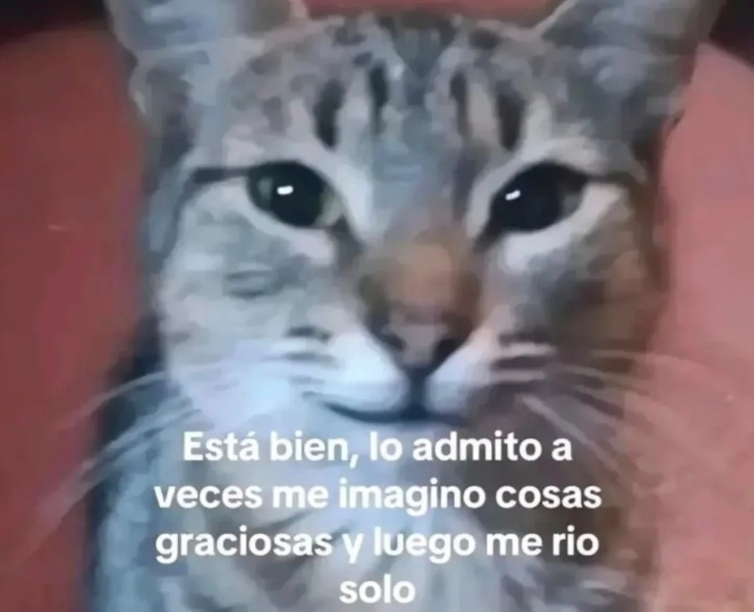 Está bien, lo admito a veces me imagino cosas graciosas y luego me rio solo