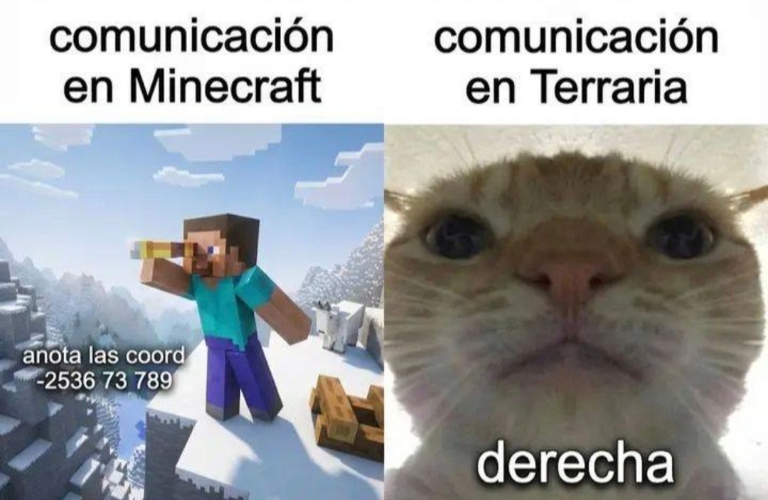 comunicación en Minecraft anota las coord -2536 73 789 comunicación en Terraria derecha