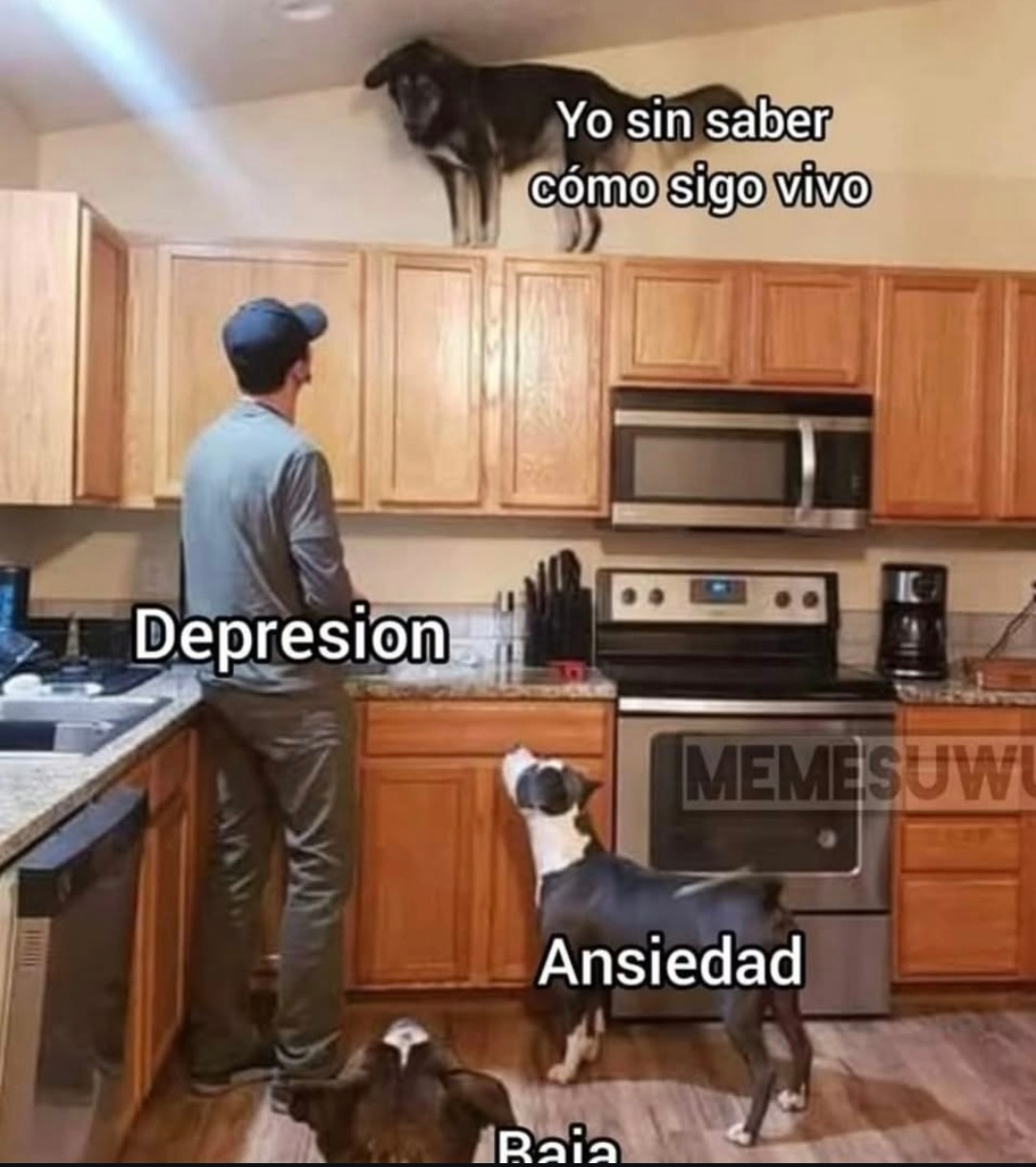 Un hombre en una cocina, con un perro en los gabinetes que dice 'Yo sin saber cómo sigo vivo'. El hombre está etiquetado como 'Depresión'. Un perro en el suelo está etiquetado como 'Ansiedad'. Otro perro en el suelo está parcialmente etiquetado como 'Baja'.
