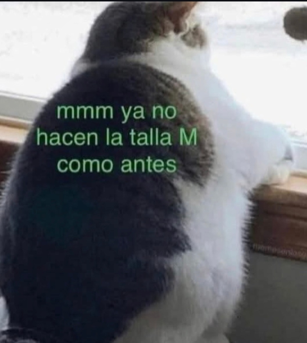 mmm ya no hacen la talla M como antes