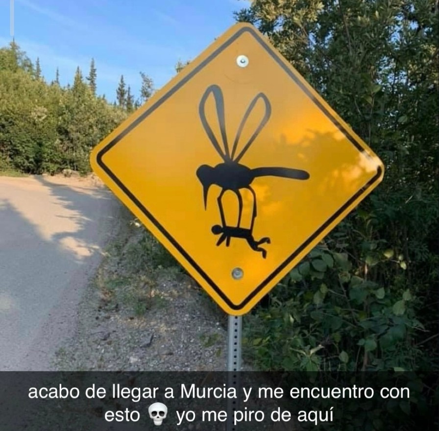 acabo de llegar a Murcia y me encuentro con esto 💀 yo me piro de aquí