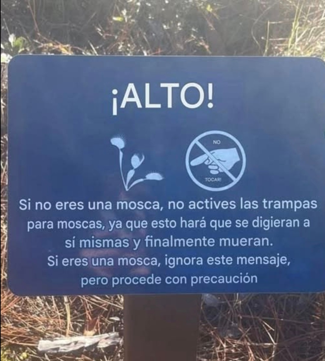 ¡ALTO! NO TOCAR! Si no eres una mosca, no actives las trampas para moscas, ya que esto hará que se digieran a sí mismas y finalmente mueran. Si eres una mosca, ignora este mensaje, pero procede con precaución.