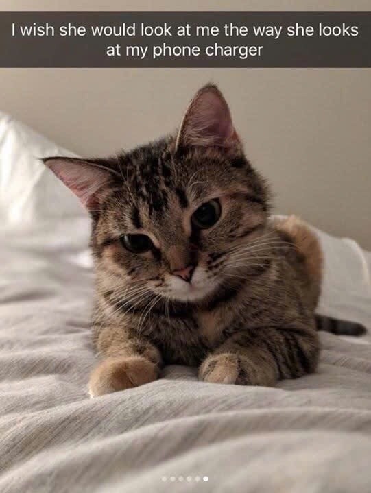 I wish she would look at me the way she looks at my phone charger