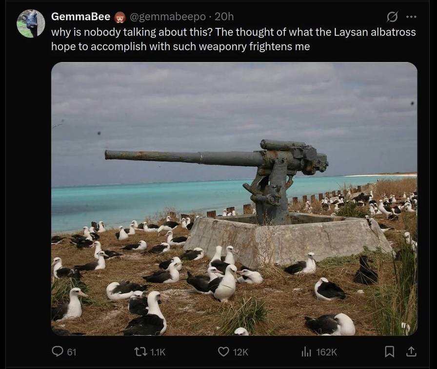 why is nobody talking about this? The thought of what the Laysan albatross hope to accomplish with such weaponry frightens me