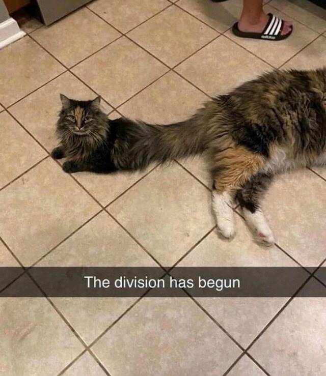 The division has begun