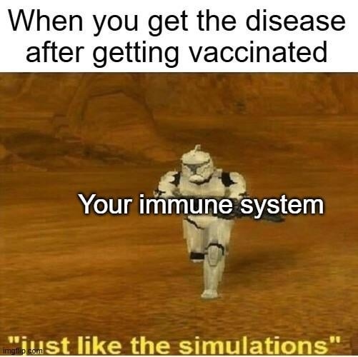 When you get the disease after getting vaccinated. Your immune system. Just like the simulations.