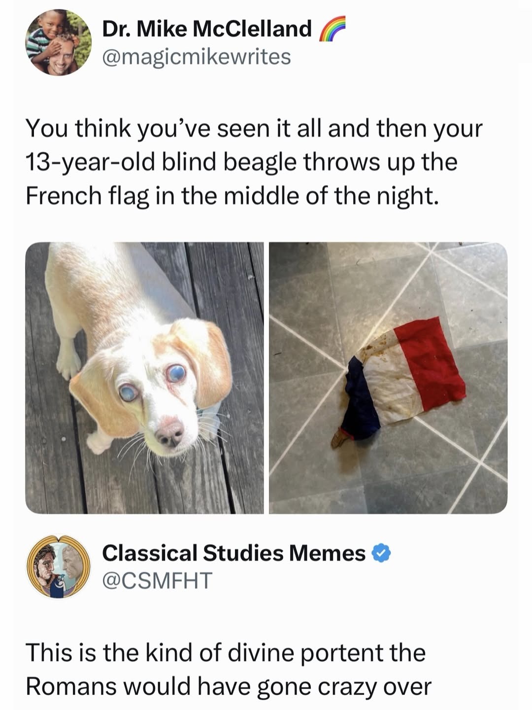 Dr. Mike McClelland @magicmikewrites You think you've seen it all and then your 13-year-old blind beagle throws up the French flag in the middle of the night. Classical Studies Memes @CSMFHT This is the kind of divine portent the Romans would have gone crazy over.