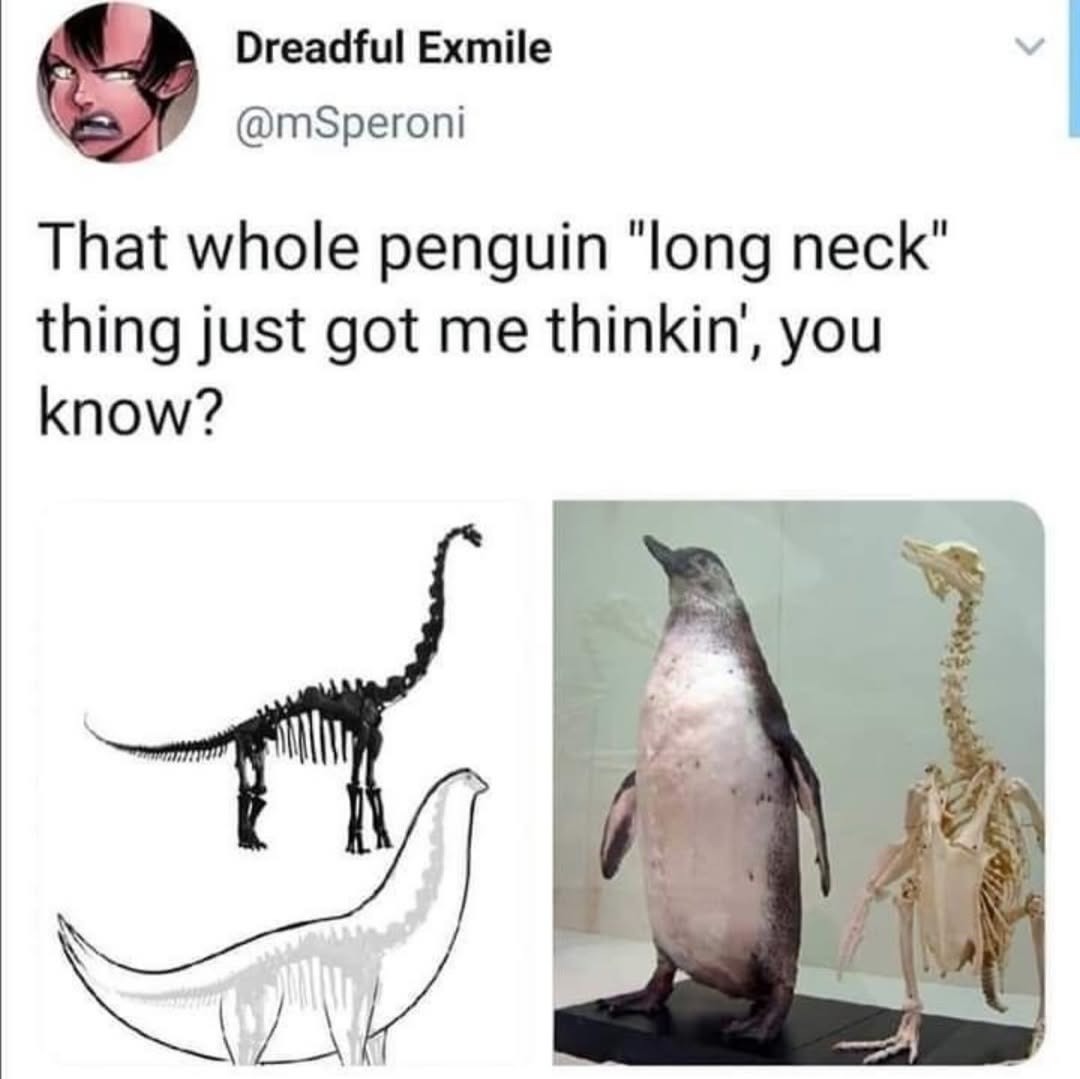 That whole penguin 
