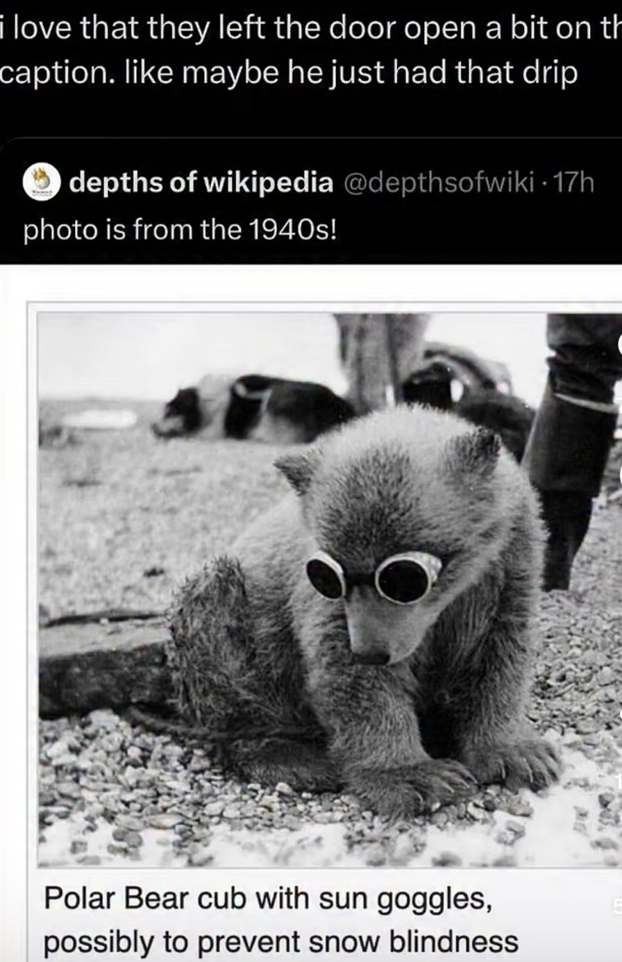 I love that they left the door open a bit on the caption. like maybe he just had that drip depths of wikipedia @depthsofwiki · 17h photo is from the 1940s! Polar Bear cub with sun goggles, possibly to prevent snow blindness