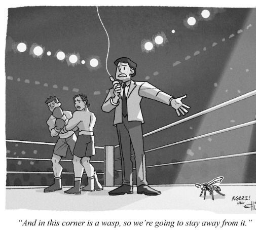 And in this corner is a wasp, so we're going to stay away from it.