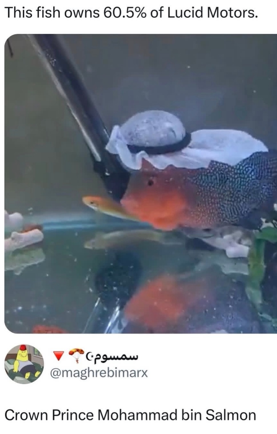 This fish owns 60.5% of Lucid Motors. Crown Prince Mohammad bin Salmon.