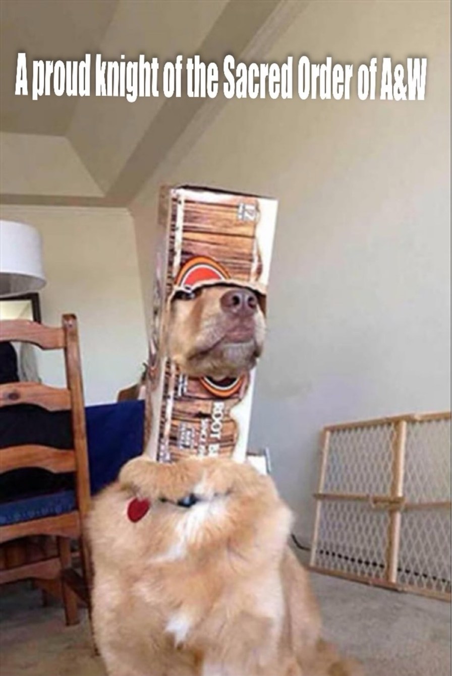 A proud knight of the Sacred Order of A&W