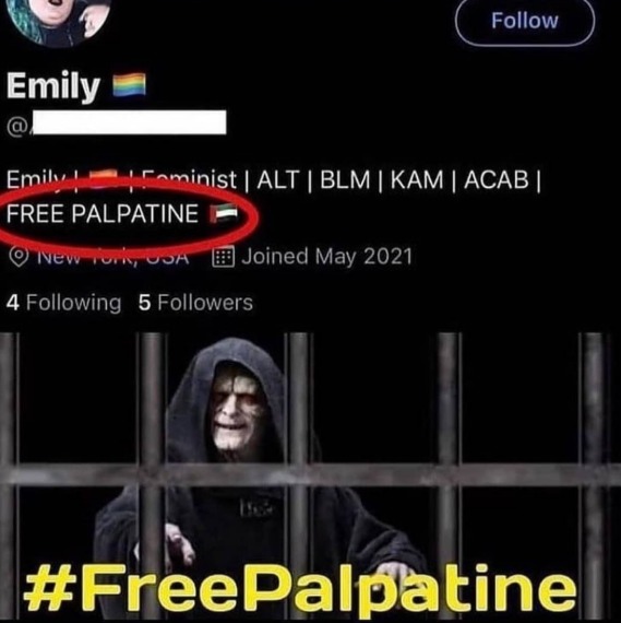 Emily. Feminista | ALT | BLM | KAM | ACAB | LIBEREN A PALPATINE 🇦🇪. Nueva York, EE. UU. Se unió en mayo de 2021. #LiberenAPalpatine. Imagen: Emperador Palpatine detrás de las rejas.