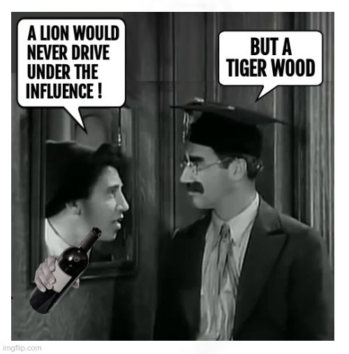 A LION WOULD NEVER DRIVE UNDER THE INFLUENCE! BUT A TIGER WOOD