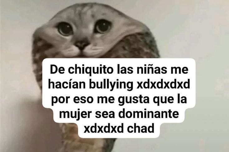 De chiquito las niñas me hacían bullying xdxdxdxd por eso me gusta que la mujer sea dominante xdxdxd chad