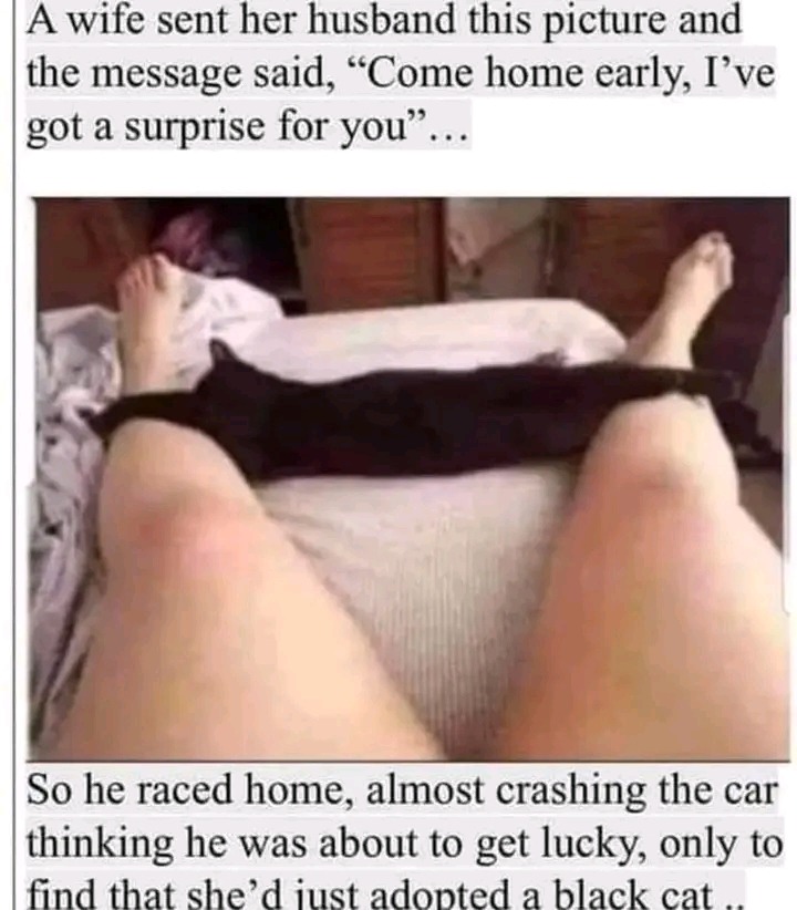 A wife sent her husband this picture and the message said, 