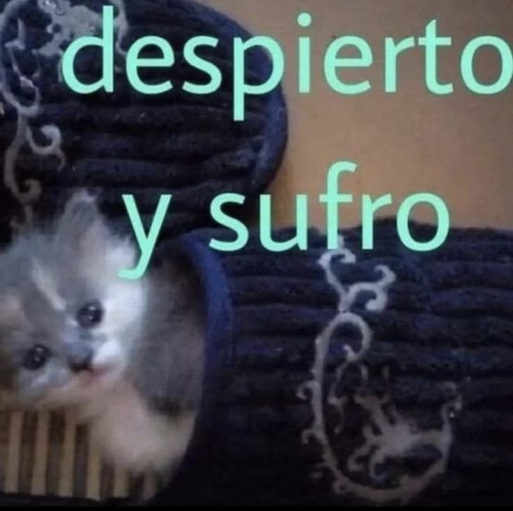despierto y sufro