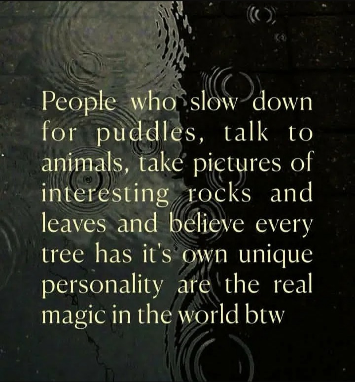 People who slow down for puddles, talk to animals, take pictures of interesting rocks and leaves and believe every tree has it's own unique personality are the real magic in the world btw