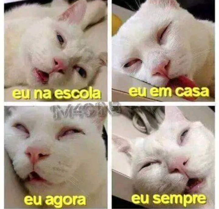 eu na escola eu em casa eu agora eu sempre