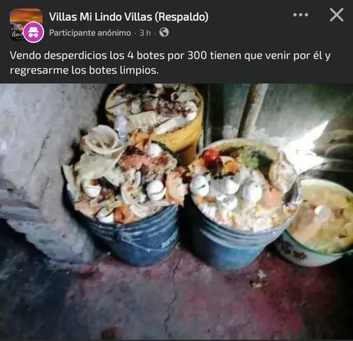 Villas Mi Lindo Villas (Respaldo) Participante anónimo • 3 h • Vendo desperdicios los 4 botes por 300 tienen que venir por él y regresarme los botes limpios.