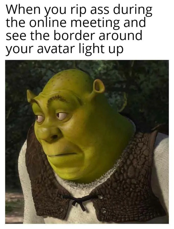 When you rip ass during the online meeting and see the border around your avatar light up