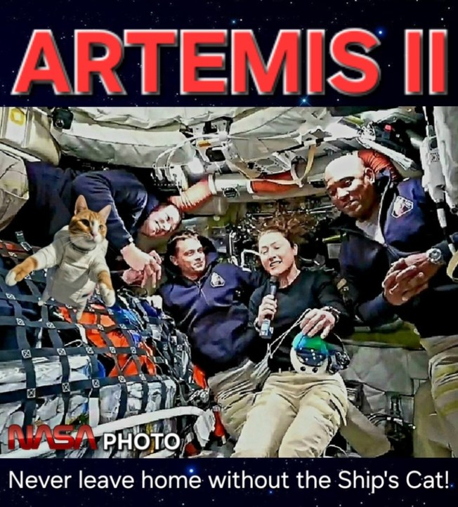 ARTEMIS II NASA PHOTO Never leave home without the Ship's Cat!