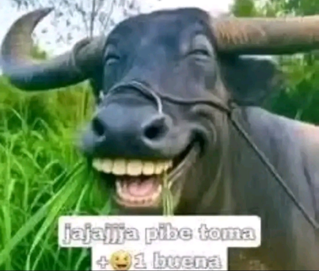 jajajja pibe toma +😂1 buena
