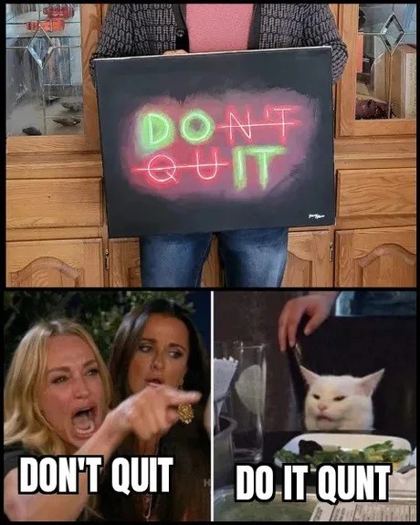 A person holds a sign that reads 'DON'T QUIT' with 'N'T' crossed out, making it 'DO IT'. Below, the 'Woman Yelling at a Cat' meme shows a woman yelling 'DON'T QUIT' and a cat with text 'DO IT QUNT'.