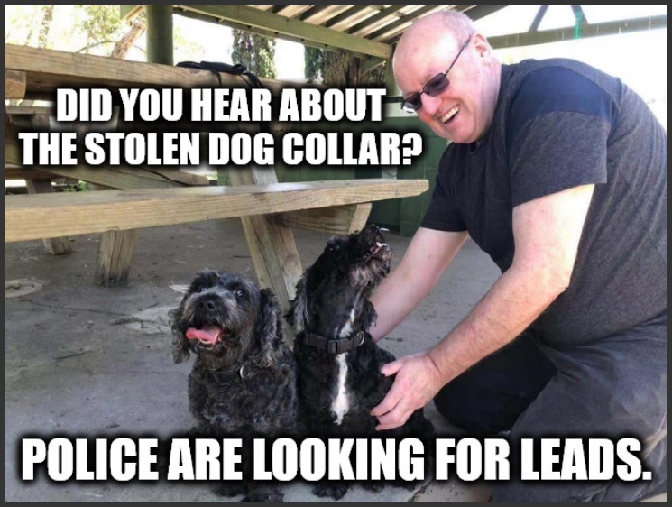 DID YOU HEAR ABOUT THE STOLEN DOG COLLAR? POLICE ARE LOOKING FOR LEADS.