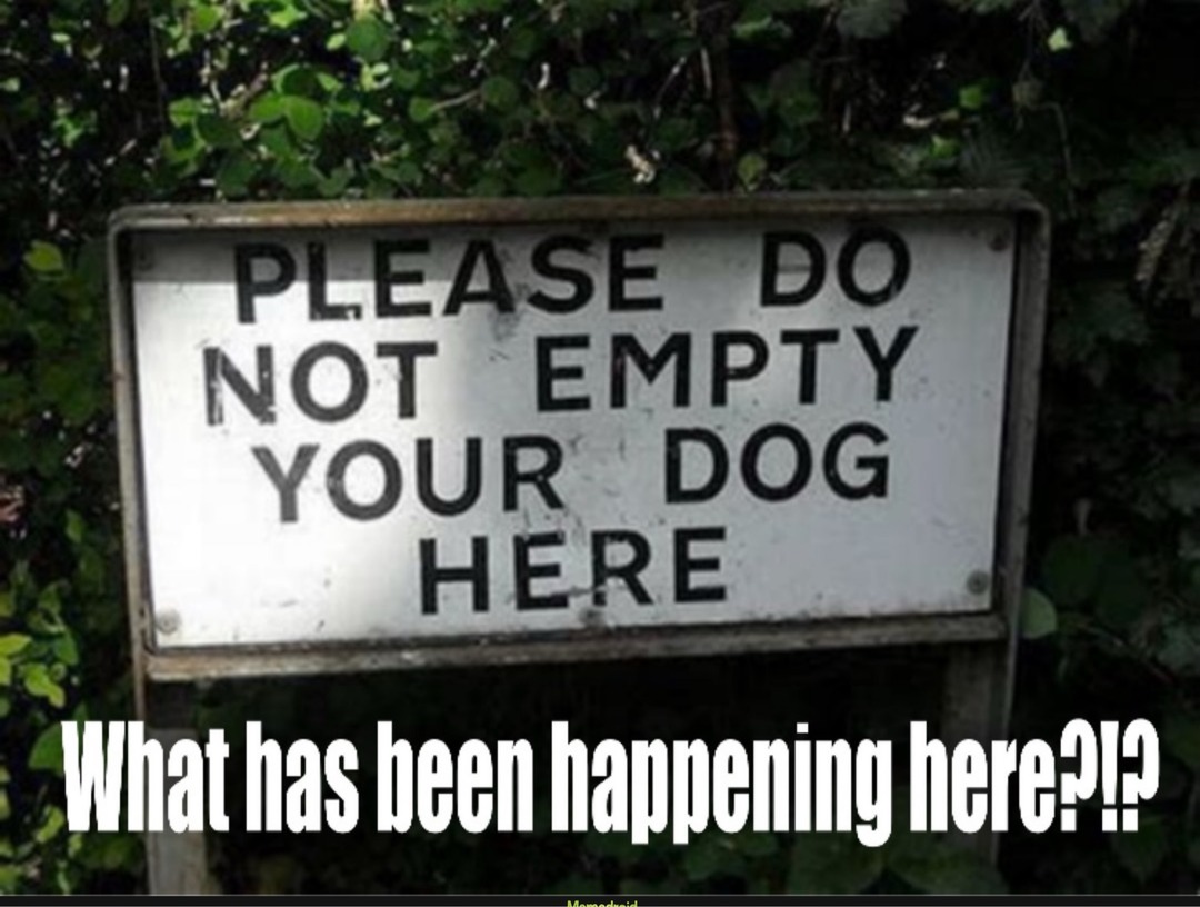 PLEASE DO NOT EMPTY YOUR DOG HERE. What has been happening here?!?