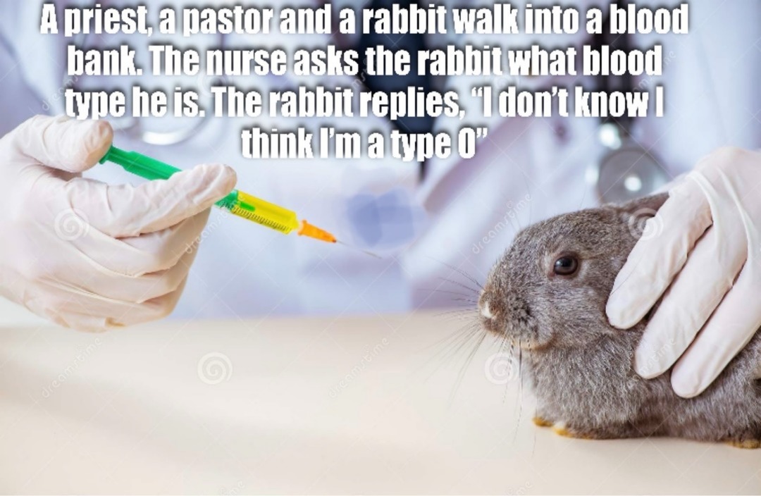 A priest, a pastor and a rabbit walk into a blood bank. The nurse asks the rabbit what blood type he is. The rabbit replies, 