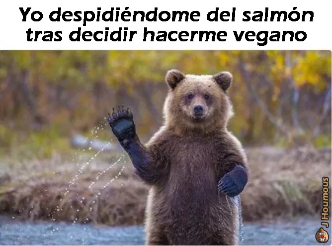 Yo despidiéndome del salmón tras decidir hacerme vegano