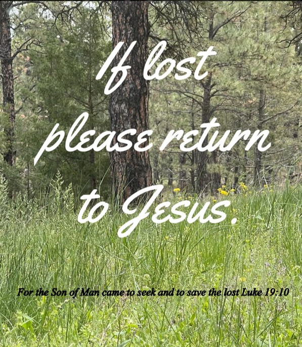 If lost please return to Jesus. For the Son of Man came to seek and to save the lost Luke 19:10