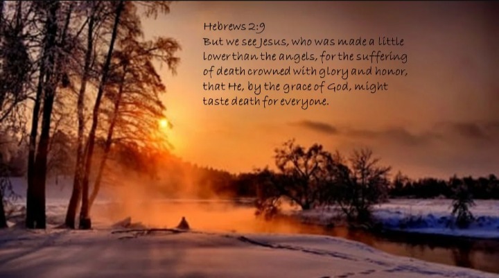Hebrews 2:9 But we see Jesus, who was made a little lower than the angels, for the suffering of death crowned with glory and honor, that He, by the grace of God, might taste death for everyone.
