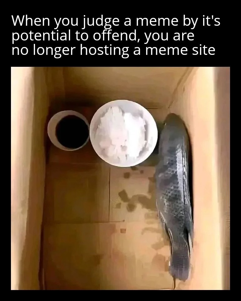 When you judge a meme by its potential to offend, you are no longer hosting a meme site