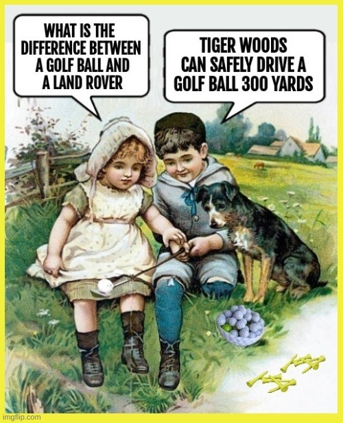 WHAT IS THE DIFFERENCE BETWEEN A GOLF BALL AND A LAND ROVER? TIGER WOODS CAN SAFELY DRIVE A GOLF BALL 300 YARDS.