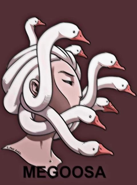 MEGOOSA