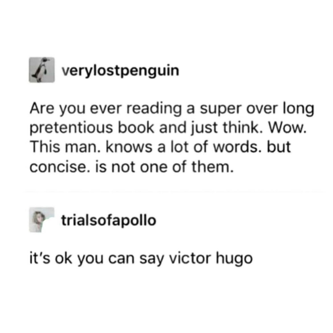 Are you ever reading a super over long pretentious book and just think. Wow. This man. knows a lot of words. but concise. is not one of them. it's ok you can say victor hugo