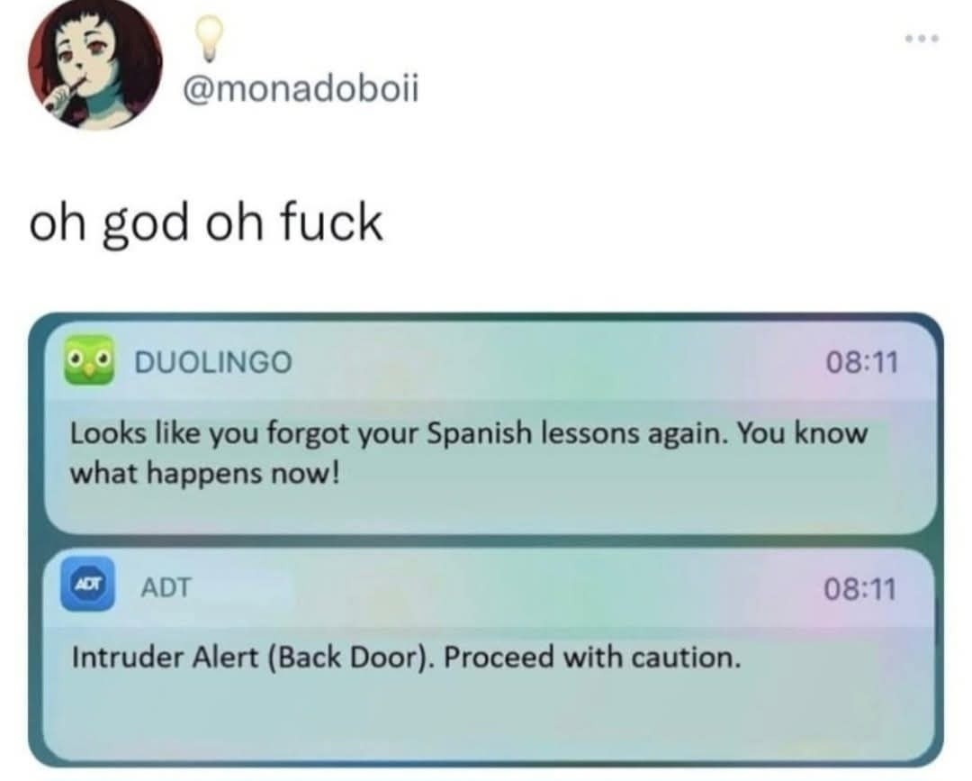 oh god oh fuck. DUOLINGO: Looks like you forgot your Spanish lessons again. You know what happens now! ADT: Intruder Alert (Back Door). Proceed with caution.