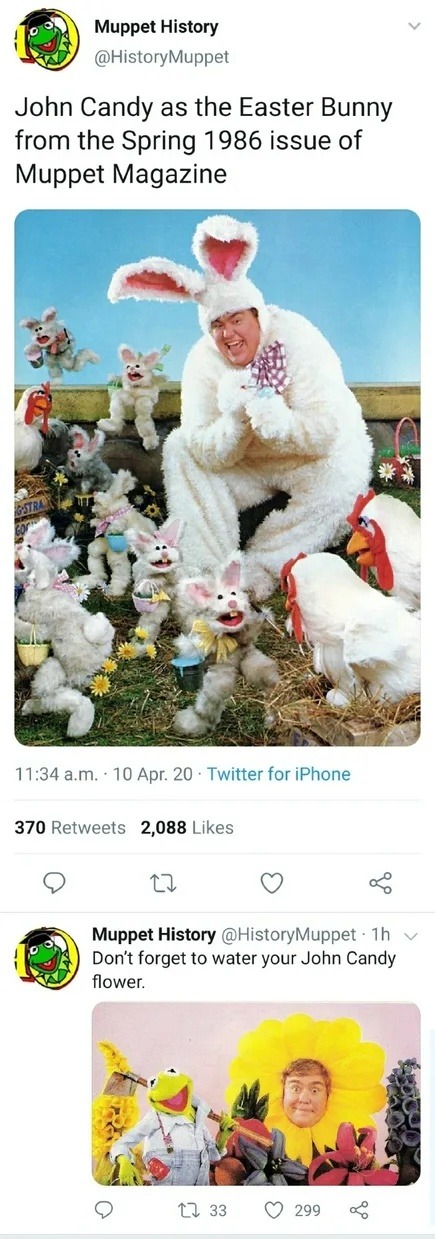 Muppet History @HistoryMuppet John Candy as the Easter Bunny from the Spring 1986 issue of Muppet Magazine 11:34 a.m. 10 Apr. 20 Twitter for iPhone 370 Retweets 2,088 Likes Muppet History @HistoryMuppet Don't forget to water your John Candy flower.