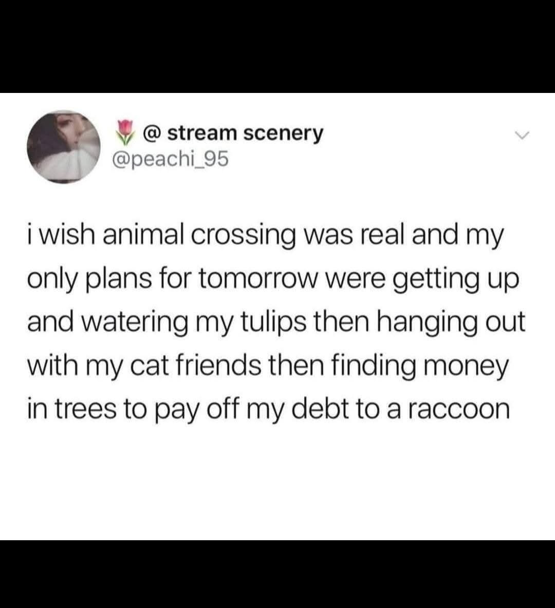 i wish animal crossing was real and my only plans for tomorrow were getting up and watering my tulips then hanging out with my cat friends then finding money in trees to pay off my debt to a raccoon