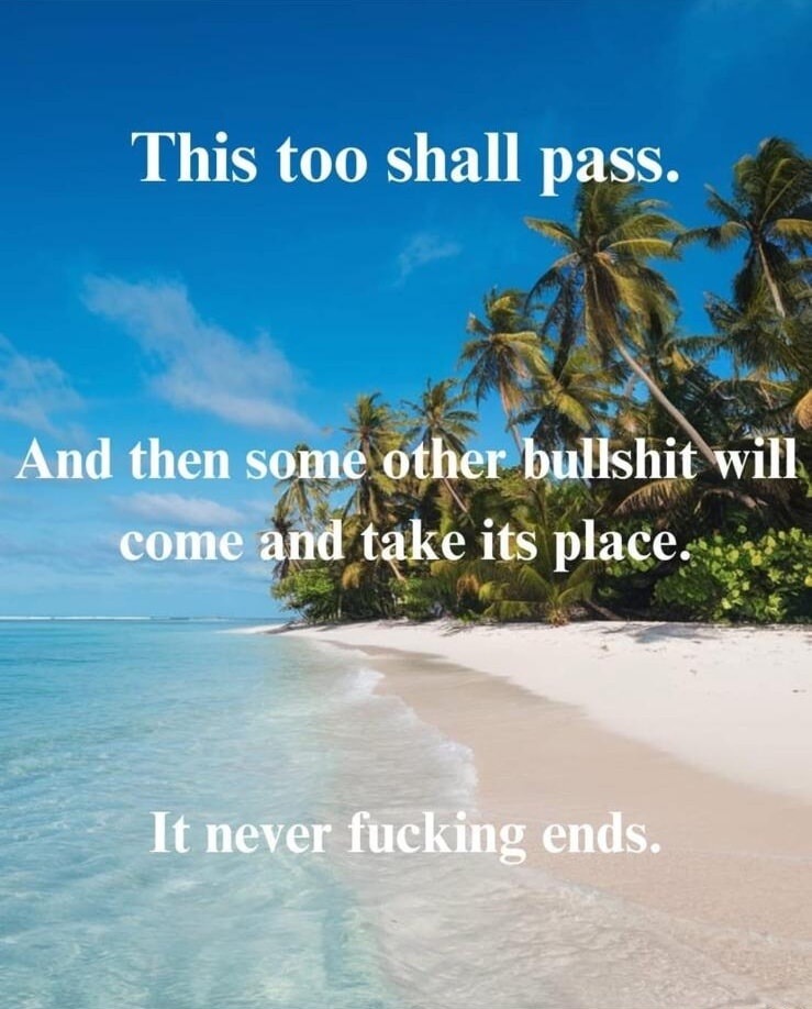 This too shall pass. And then some other bullshit will come and take its place. It never fucking ends.