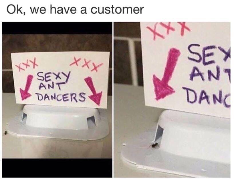 Ok, we have a customer. XXX SEXY ANT DANCERS XXX