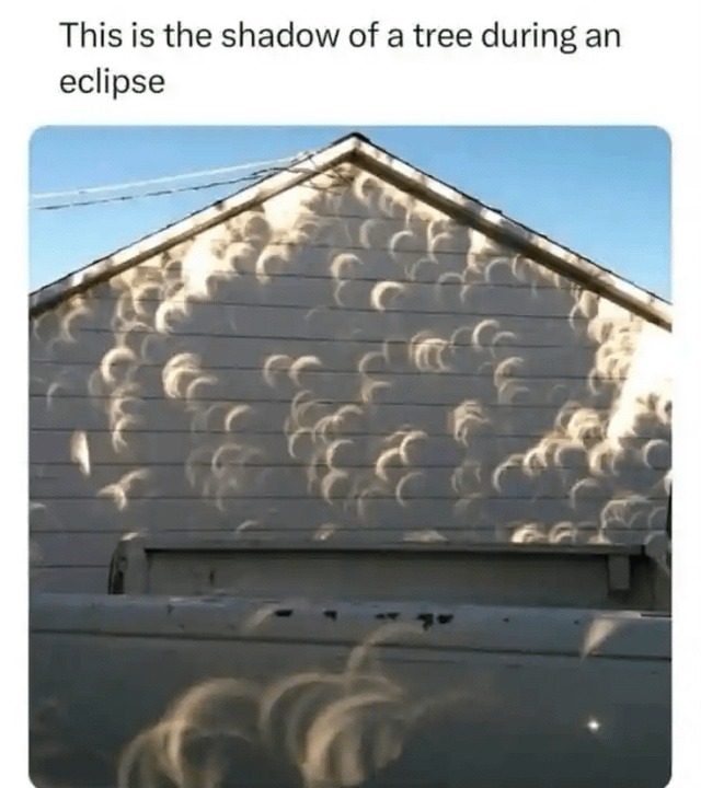 This is the shadow of a tree during an eclipse